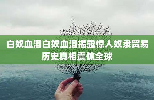 白奴血泪白奴血泪揭露惊人奴隶贸易历史真相震惊全球