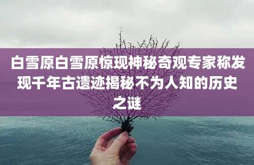 白雪原白雪原惊现神秘奇观专家称发现千年古遗迹揭秘不为人知的历史之谜