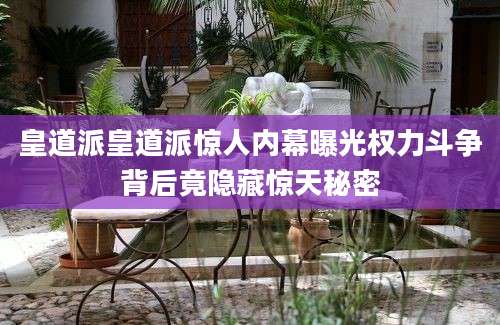 皇道派皇道派惊人内幕曝光权力斗争背后竟隐藏惊天秘密