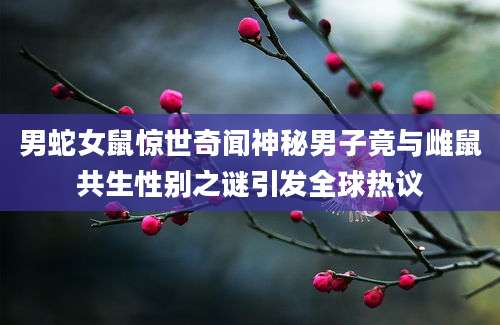 男蛇女鼠惊世奇闻神秘男子竟与雌鼠共生性别之谜引发全球热议