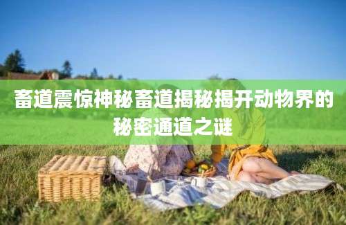 畜道震惊神秘畜道揭秘揭开动物界的秘密通道之谜