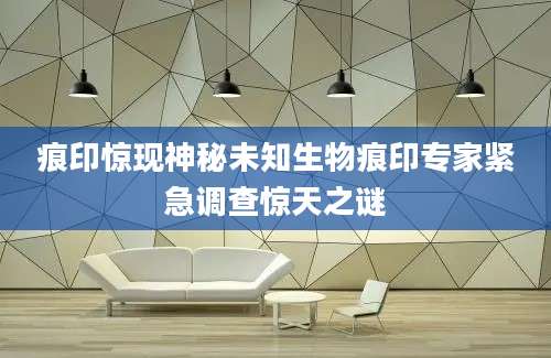 痕印惊现神秘未知生物痕印专家紧急调查惊天之谜