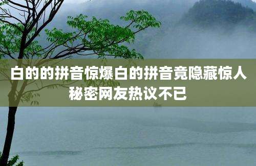 白的的拼音惊爆白的拼音竟隐藏惊人秘密网友热议不已