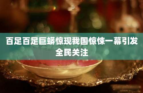 百足百足巨蟒惊现我国惊悚一幕引发全民关注