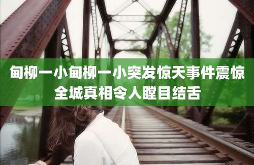 甸柳一小甸柳一小突发惊天事件震惊全城真相令人瞠目结舌