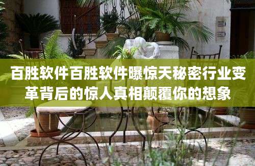 百胜软件百胜软件曝惊天秘密行业变革背后的惊人真相颠覆你的想象