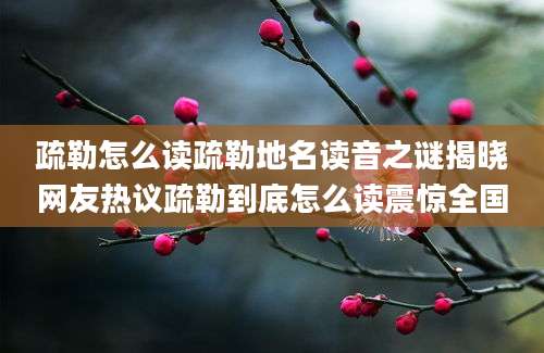 疏勒怎么读疏勒地名读音之谜揭晓网友热议疏勒到底怎么读震惊全国