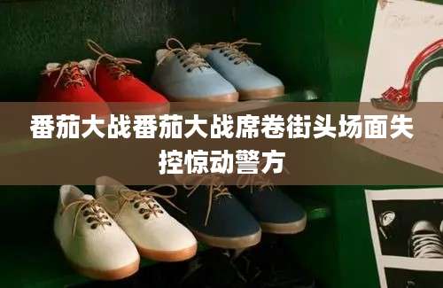 番茄大战番茄大战席卷街头场面失控惊动警方