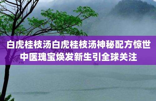 白虎桂枝汤白虎桂枝汤神秘配方惊世中医瑰宝焕发新生引全球关注