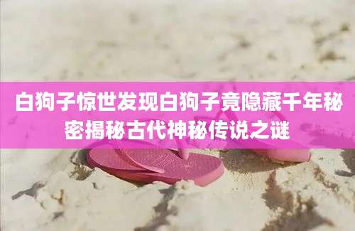 白狗子惊世发现白狗子竟隐藏千年秘密揭秘古代神秘传说之谜