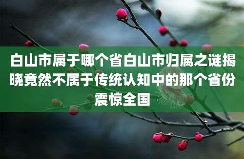 白山市属于哪个省白山市归属之谜揭晓竟然不属于传统认知中的那个省份震惊全国