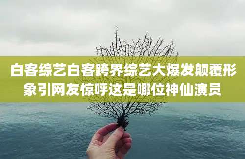 白客综艺白客跨界综艺大爆发颠覆形象引网友惊呼这是哪位神仙演员