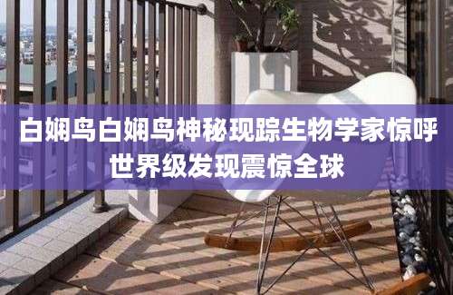 白娴鸟白娴鸟神秘现踪生物学家惊呼世界级发现震惊全球