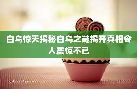 白乌惊天揭秘白乌之谜揭开真相令人震惊不已