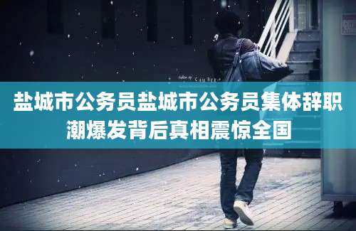 盐城市公务员盐城市公务员集体辞职潮爆发背后真相震惊全国