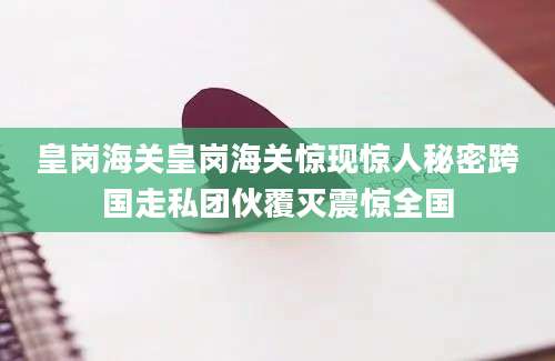 皇岗海关皇岗海关惊现惊人秘密跨国走私团伙覆灭震惊全国