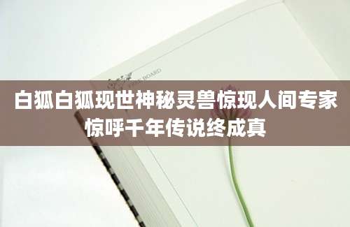 白狐白狐现世神秘灵兽惊现人间专家惊呼千年传说终成真