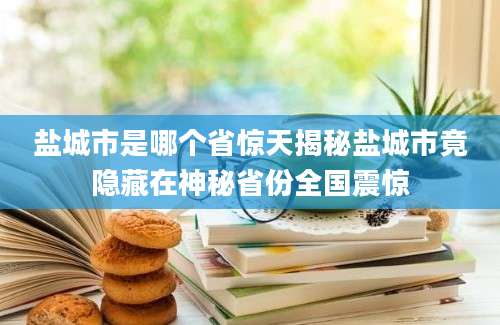 盐城市是哪个省惊天揭秘盐城市竟隐藏在神秘省份全国震惊