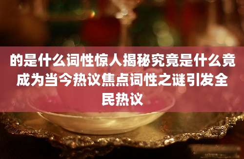 的是什么词性惊人揭秘究竟是什么竟成为当今热议焦点词性之谜引发全民热议