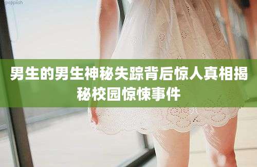 男生的男生神秘失踪背后惊人真相揭秘校园惊悚事件